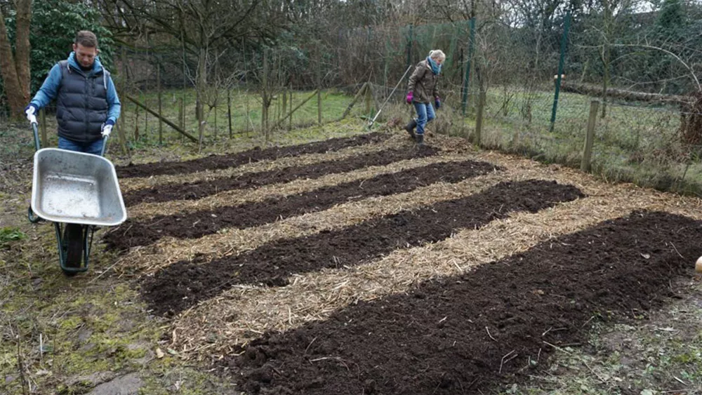 PermakulturGarten anlegen Tipps und Ideen