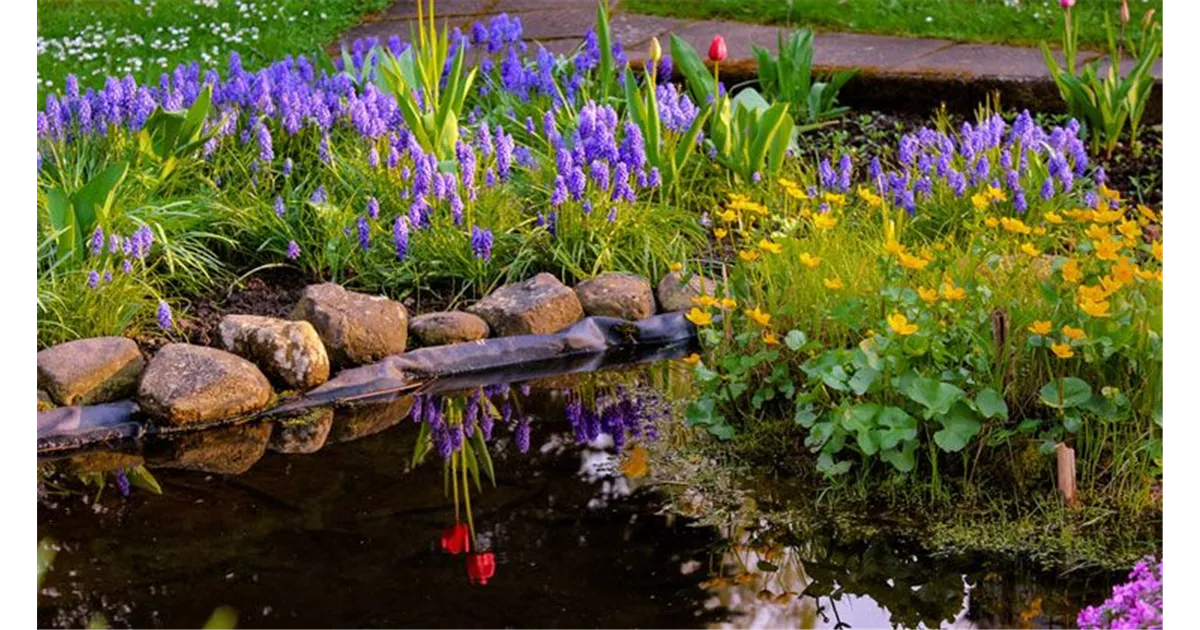 Sie möchten einen Gartenteich anlegen? Das gibt’s zu beachten!