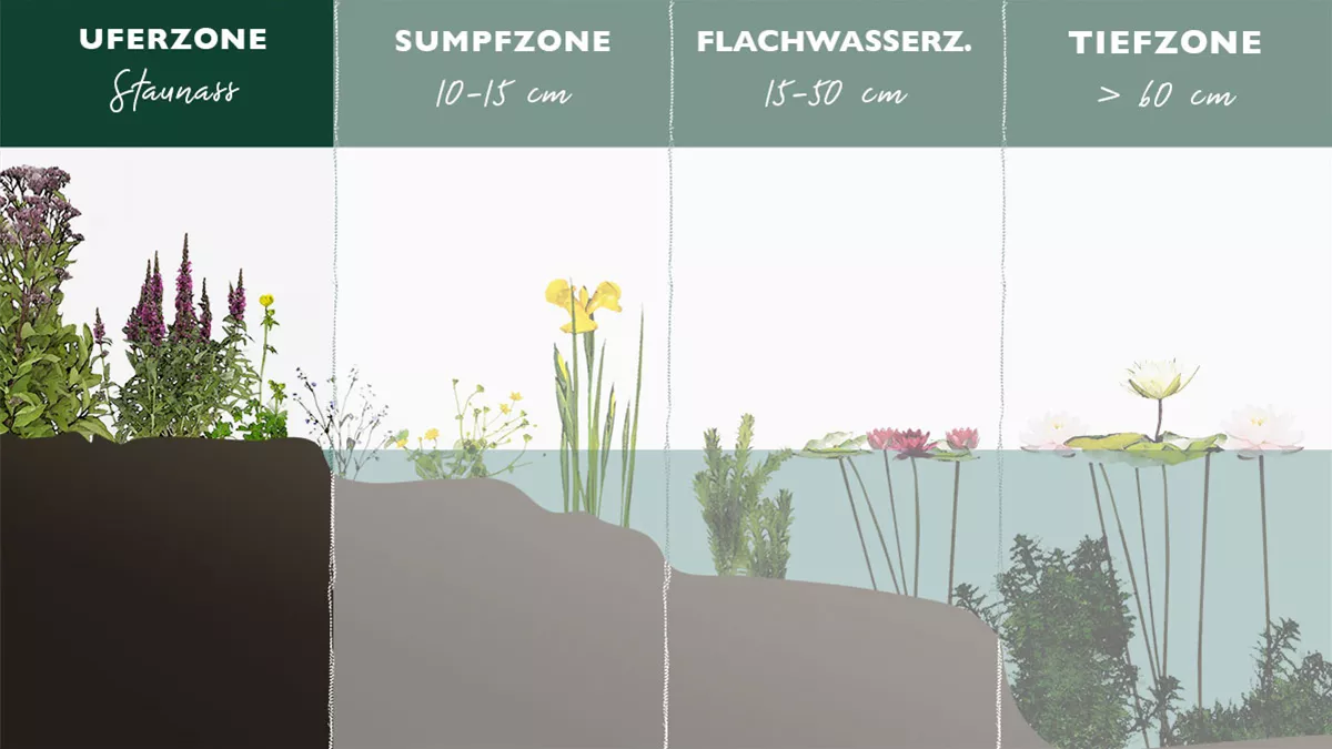 Gartenteich bepflanzen? Teichpflanzen für Euer Wasserparadies