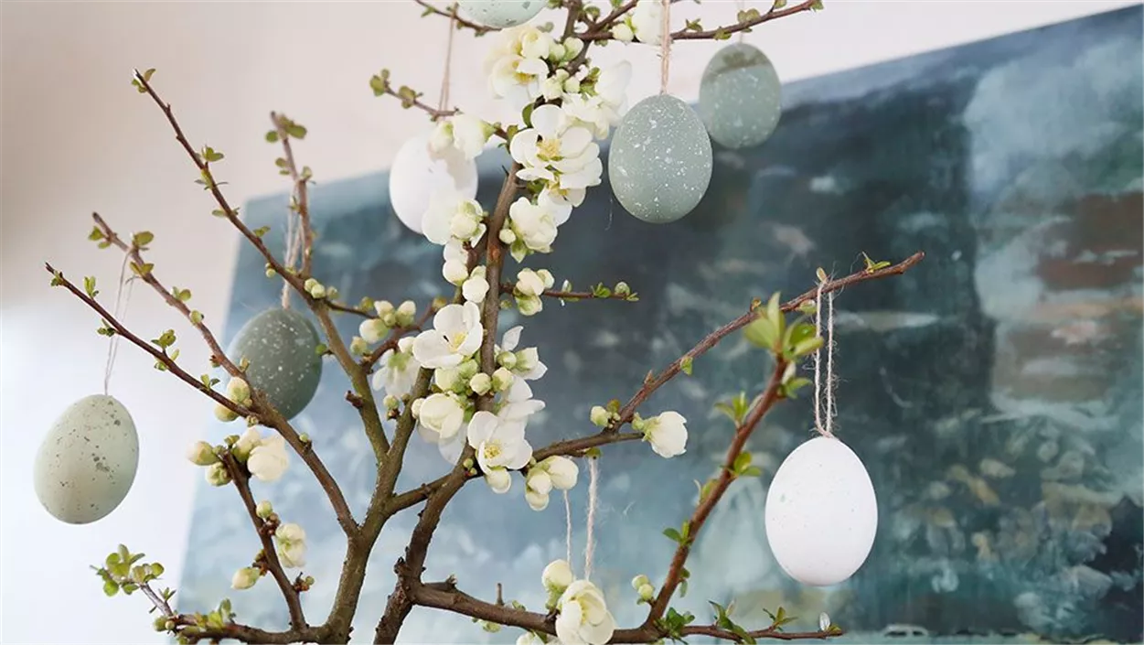 ostern-trend-2021-salbeigruen-zierquitte-a834f5c1.jpeg