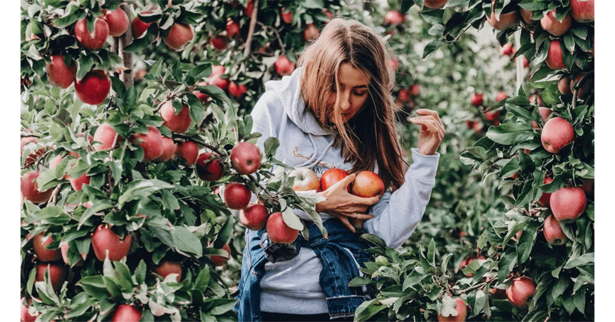 Essbarer Waldgarten: Dein Food Forest in Deutschland anlegen