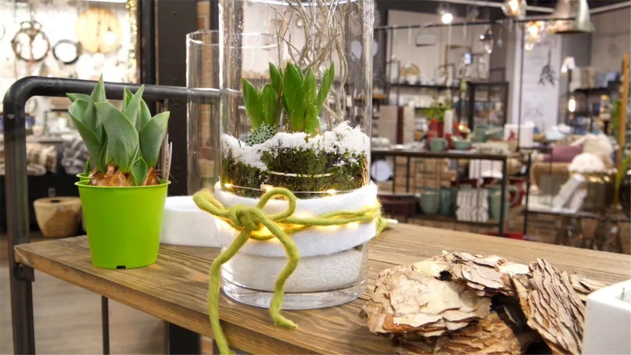 mencke-gartencenter-winterfruehlingsdeko1-e1546434676176-c779acd6.jpeg