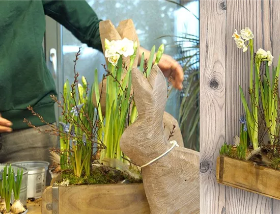 Frühlingsdeko 2022: Frühlingsblumen in einer Ziegelsteinkiste