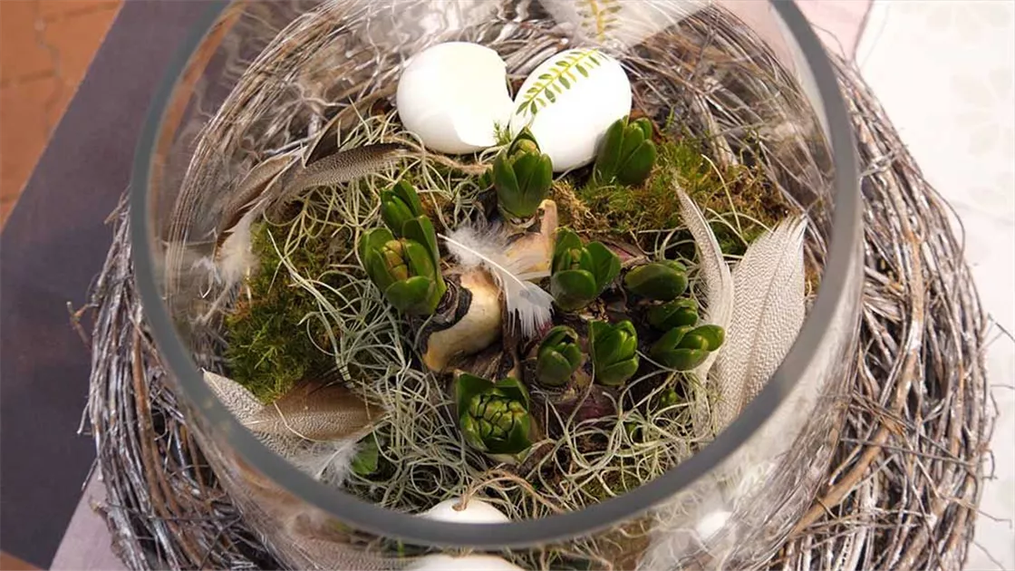 Hyazinthe im Glas dekorieren: Holt Euch den Frühling ins Haus!