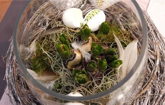 Hyazinthe im Glas dekorieren: Holt Euch den Frühling ins Haus!