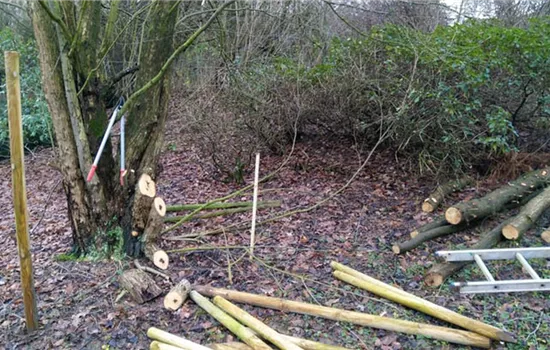 Benjeshecke: Wertvoller Einsatz für den Naturschutz! Benjeshecke: Wertvoller Einsatz für den Naturschutz!