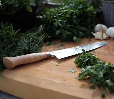 Workshop Kochen mit Kräutern