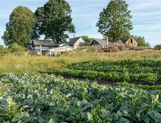 Permakultur-Garten anlegen: Tipps und Ideen Permakultur-Garten anlegen: Tipps und Ideen