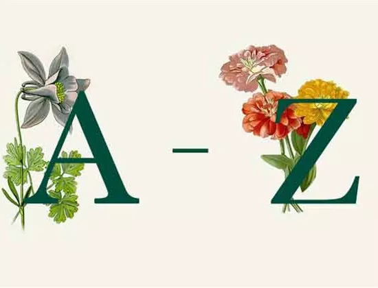 Gartenpflanzen A-Z: sortiert nach Standort, Blüte und Pflege Gartenpflanzen A-Z: sortiert nach Standort, Blüte und Pflege