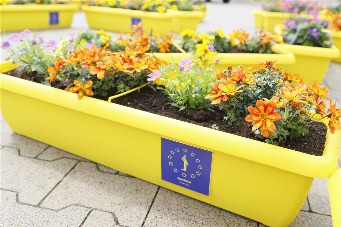 Europäisches Natur-Kunstwerk Beedabei