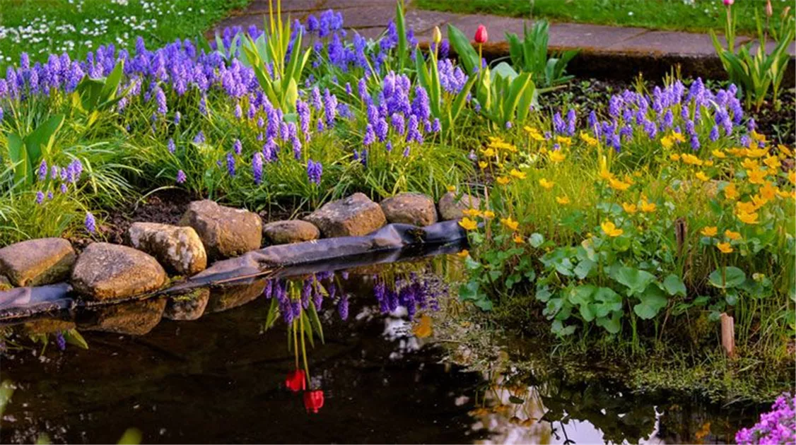 wasserreservoir blumenksten Blumenkasten / Balkonkasten mit Wasserspeicher ca. 60 cm aus hochwerti  La  Casa