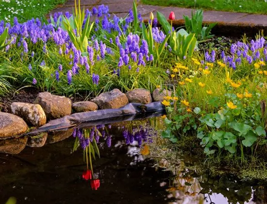 Sie möchten einen Gartenteich anlegen? Das gibt’s zu beachten! Sie möchten einen Gartenteich anlegen? Das gibt’s zu beachten!
