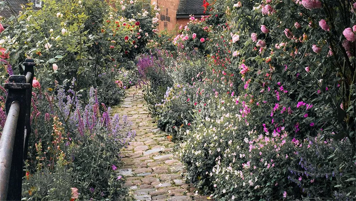 blumen-im-landhausgarten.jpg