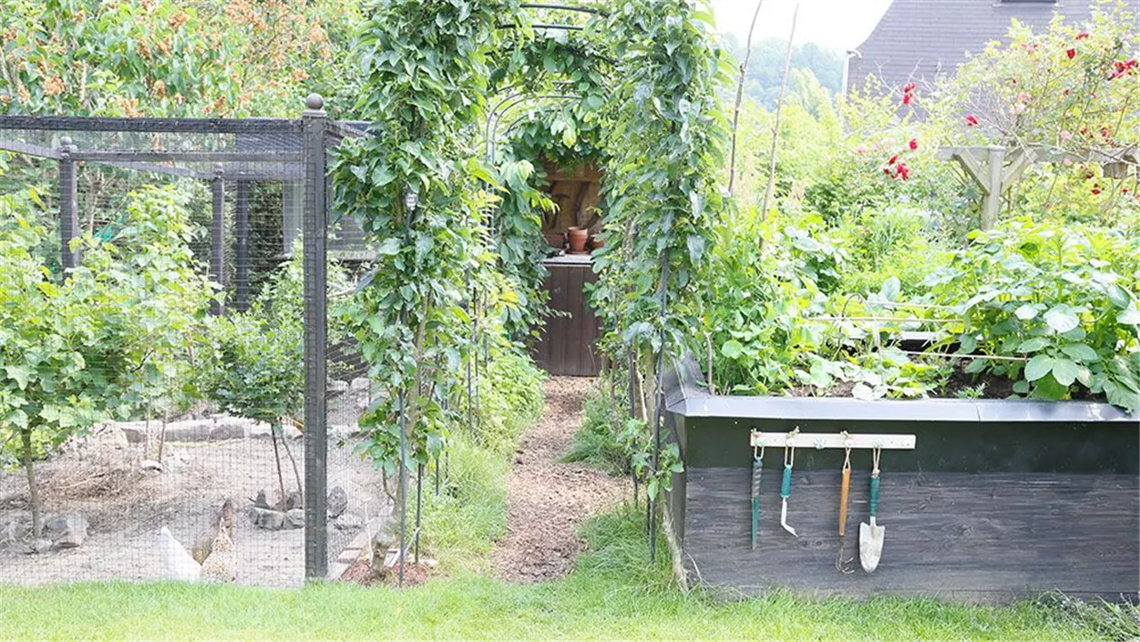 biogarten.jpg