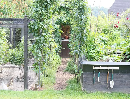 Biogarten: Als Selbstversorger Obst und Gemüse anbauen! Biogarten: Als Selbstversorger Obst und Gemüse anbauen!