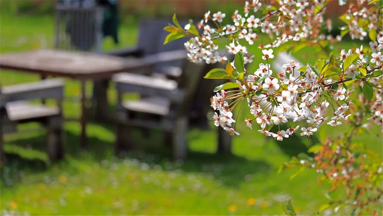garten-wellness2-adf9d7bb.jpg