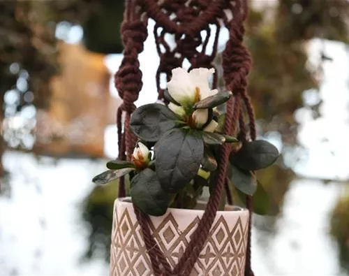 Blumenampel mit Übertopf
