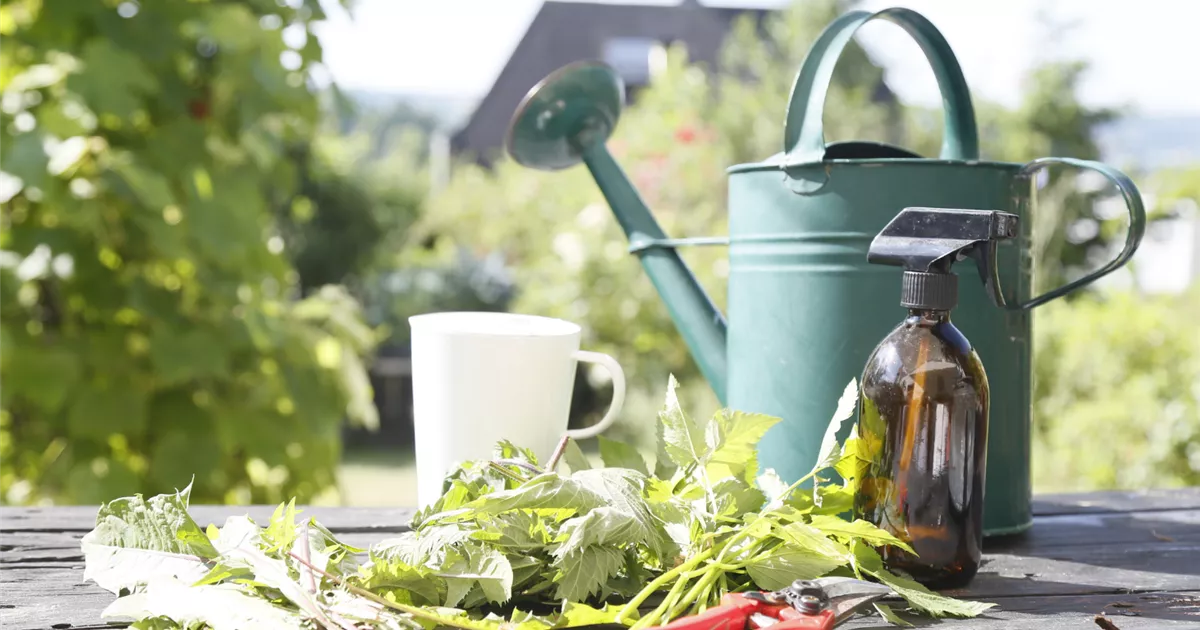 dünger blütenbildung Purgrün Bloom-Dünger 1 Liter