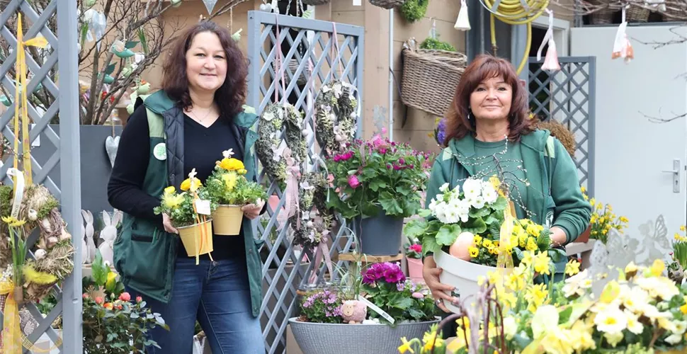 MENCKE Floristik & Pflanzung