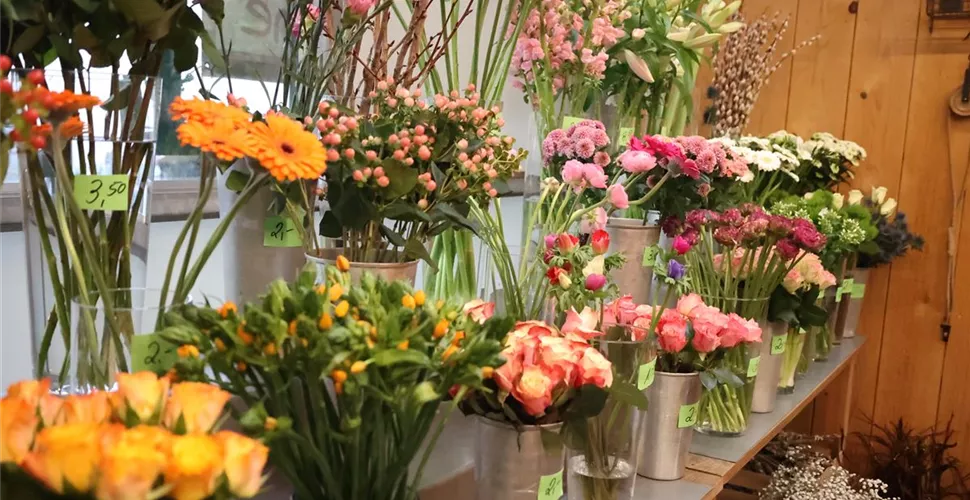 Floristen-Team POHLI