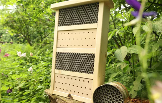 Wildbienenhotel für den Garten: Anleitung, Standort, Pflege & mehr