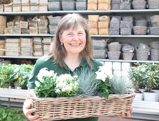Die schönsten weißen Balkonblumen für Euren Blumenkasten Die schönsten weißen Balkonblumen für Euren Blumenkasten