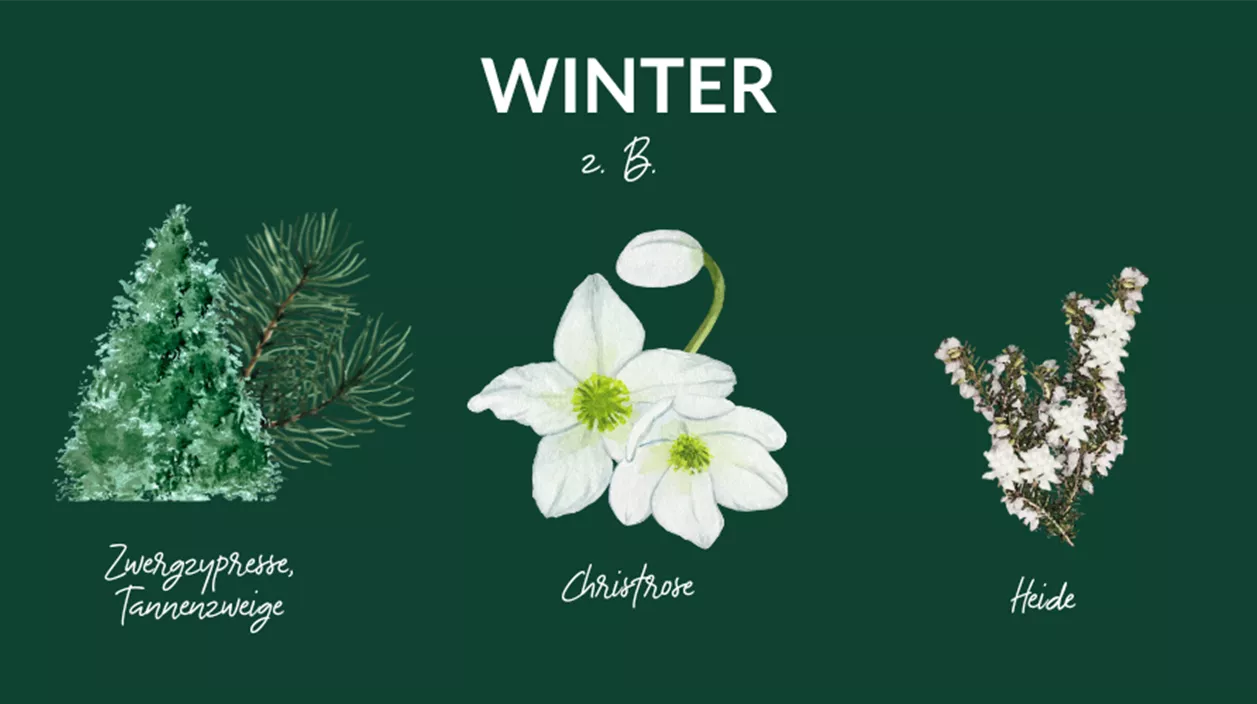 weisse balkonblumen winter.png