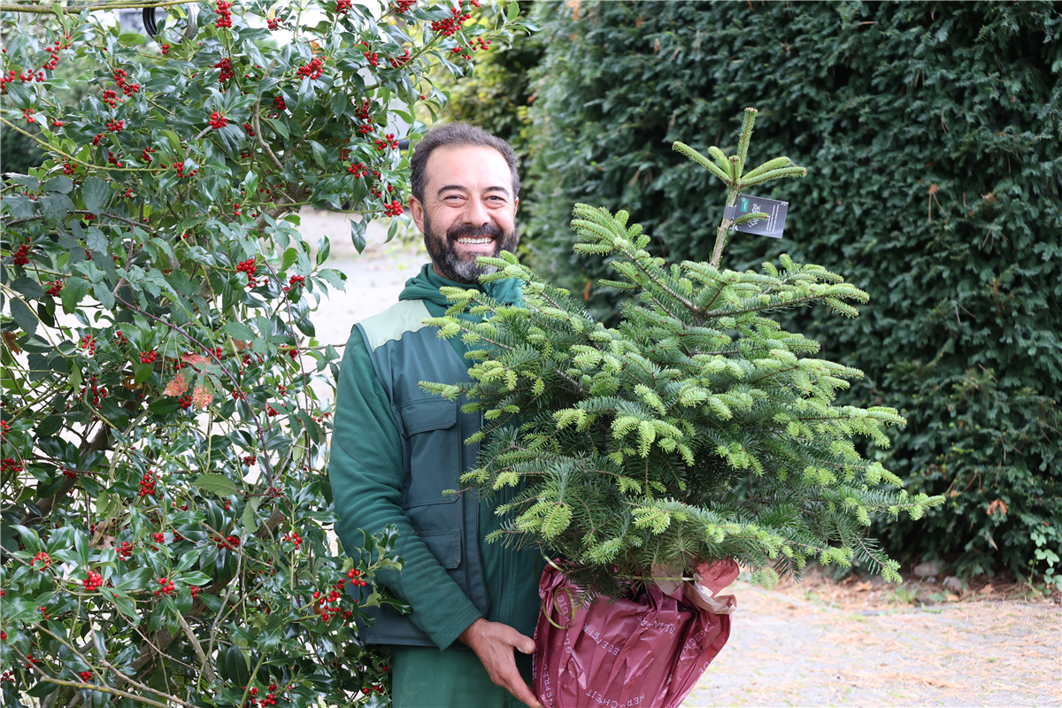 Weihnachtsbaum kaufen in Wuppertal / Sprockhövel