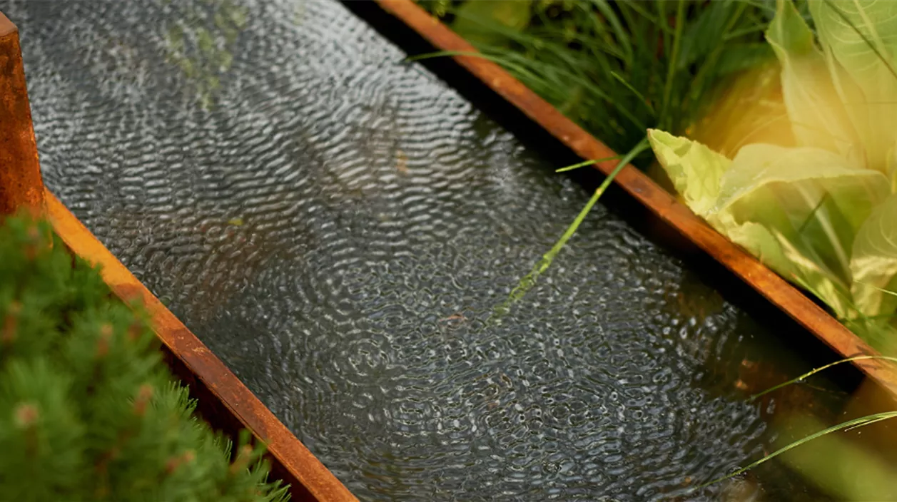regenwasser nutzen.png