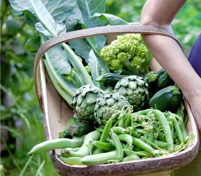 Workshop Selbstverteidigung für Hobbygärtner