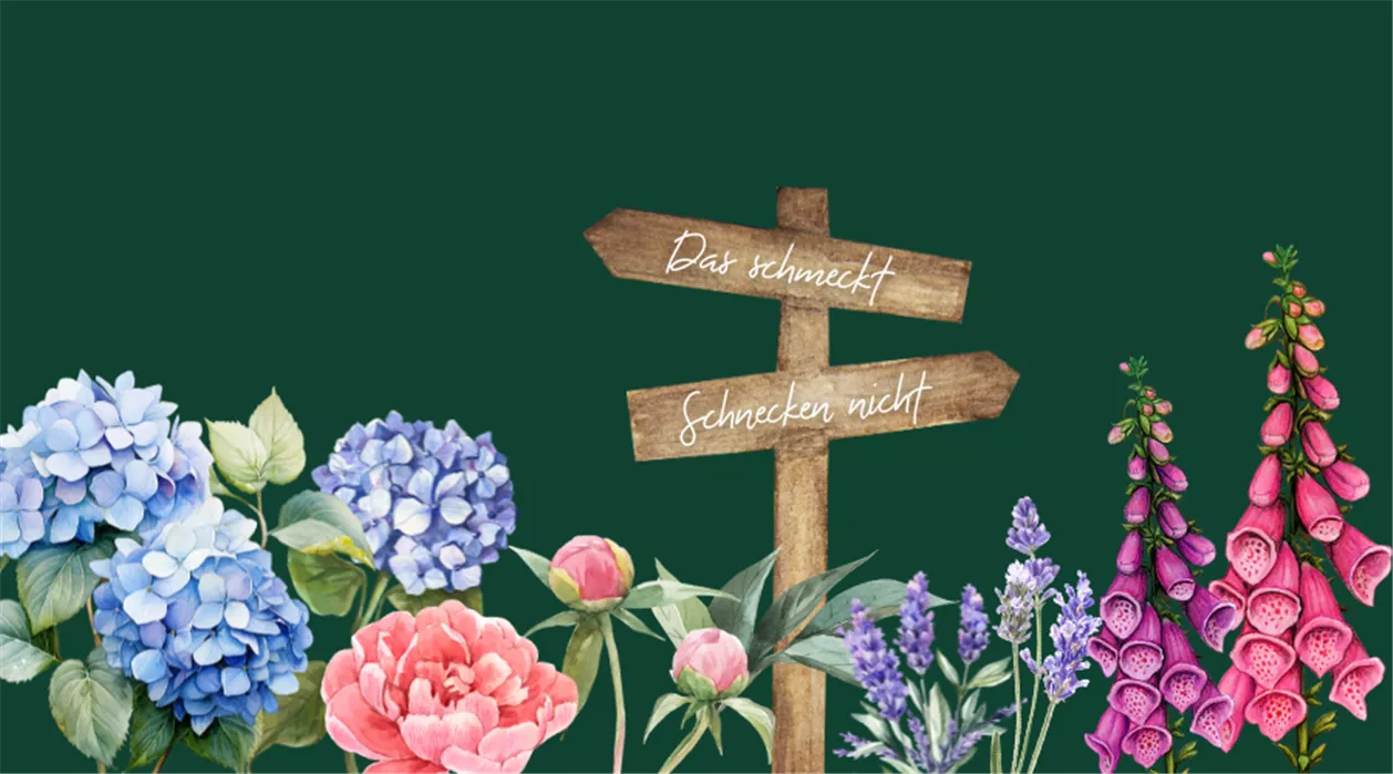 stauden schneckenresistent.png