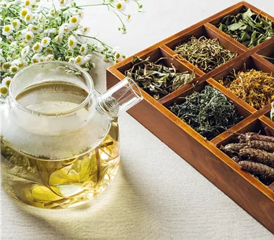 Workshop Kräutertee