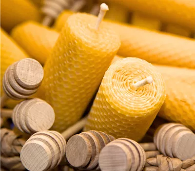 Workshop Bienenwachskerzen