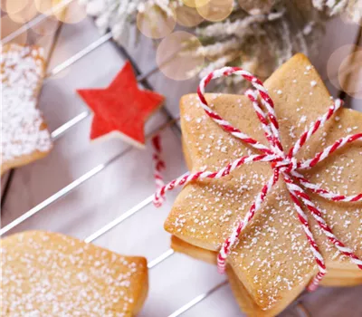 Plätzchen & Plaudern