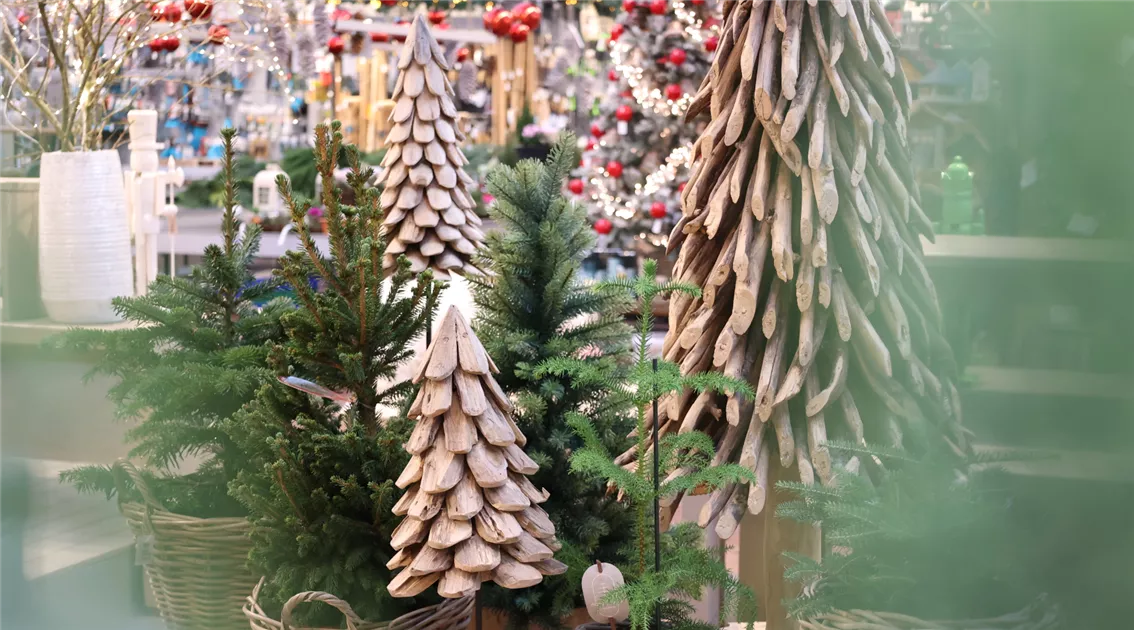 Nachhaltiger Weihnachtsbaum & Alternativen