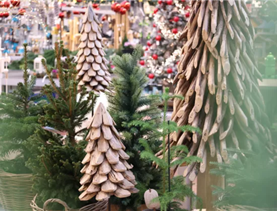 Nachhaltiger Weihnachtsbaum & Alternativen Nachhaltiger Weihnachtsbaum & Alternativen