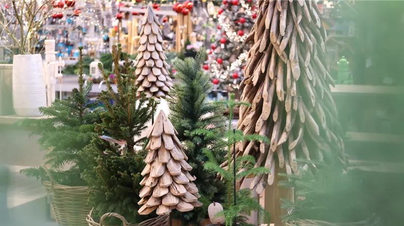 Nachhaltiger Weihnachtsbaum & Alternativen Nachhaltiger Weihnachtsbaum & Alternativen