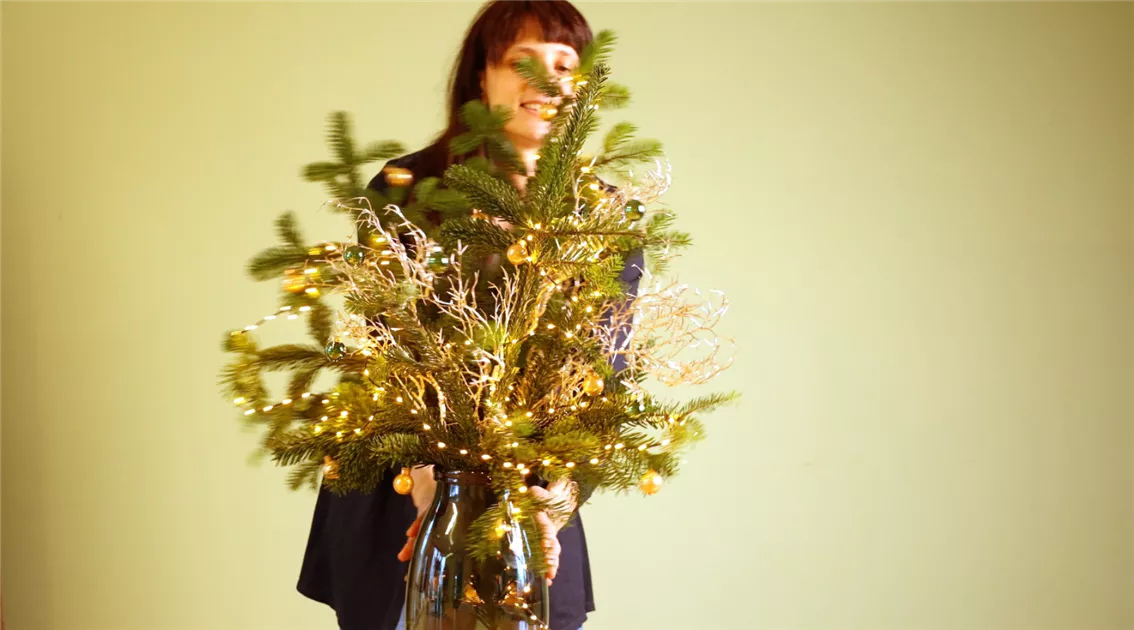 Nachhaltiger Weihnachtsbaum & Alternativen