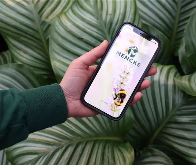 MENCKE APP