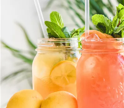 Workshop Fermentierte Limonaden