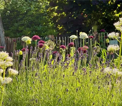 Workshop Beetgestaltung