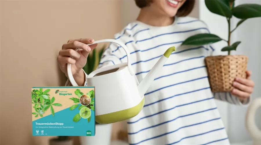 Blogbeiträge (2).jpg Blogbeiträge (2).jpg