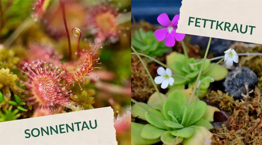 Blogbeiträge (3).jpg Blogbeiträge (3).jpg