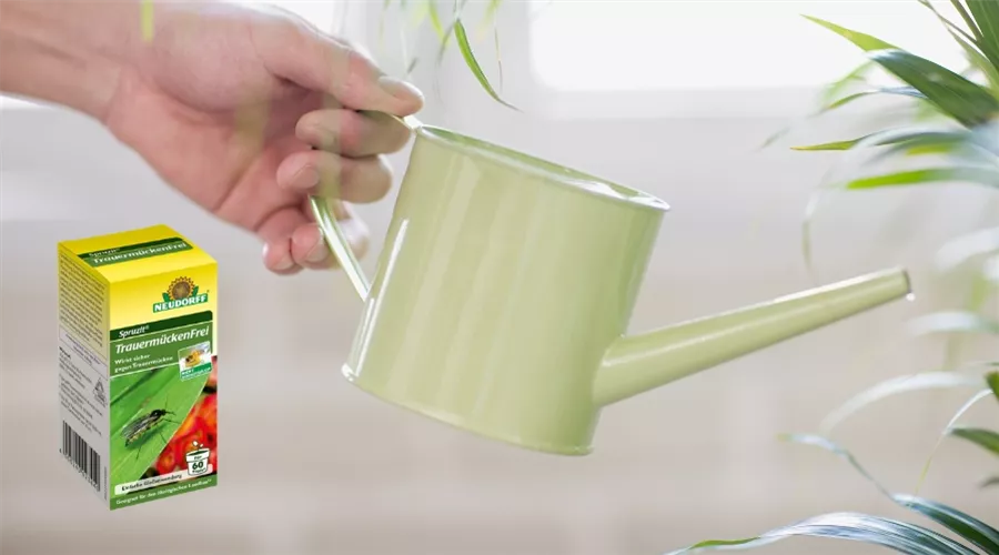 Blogbeiträge (1).jpg Blogbeiträge (1).jpg