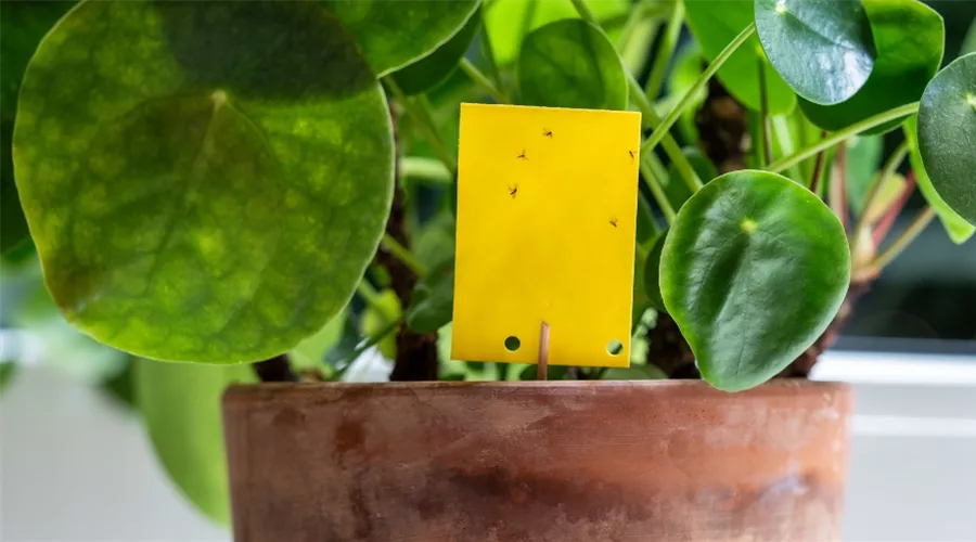 Blogbeiträge (4).jpg Blogbeiträge (4).jpg