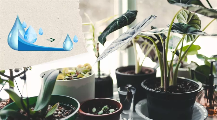 Blogbeiträge.jpg Blogbeiträge.jpg