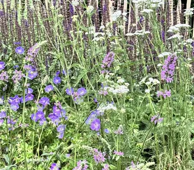 Workshop Beetgestaltung