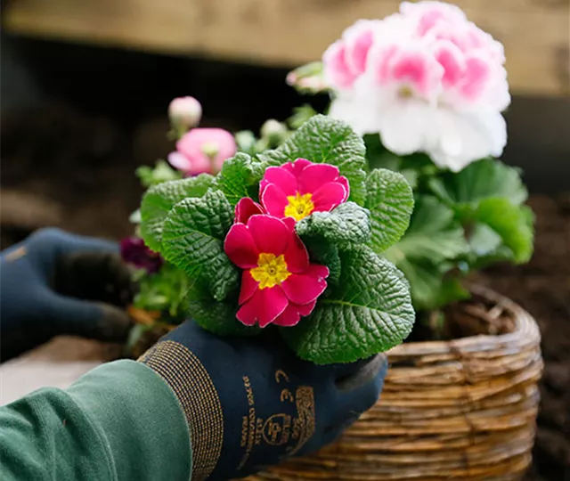 Unikate & Bepflanzung auf Wunsch