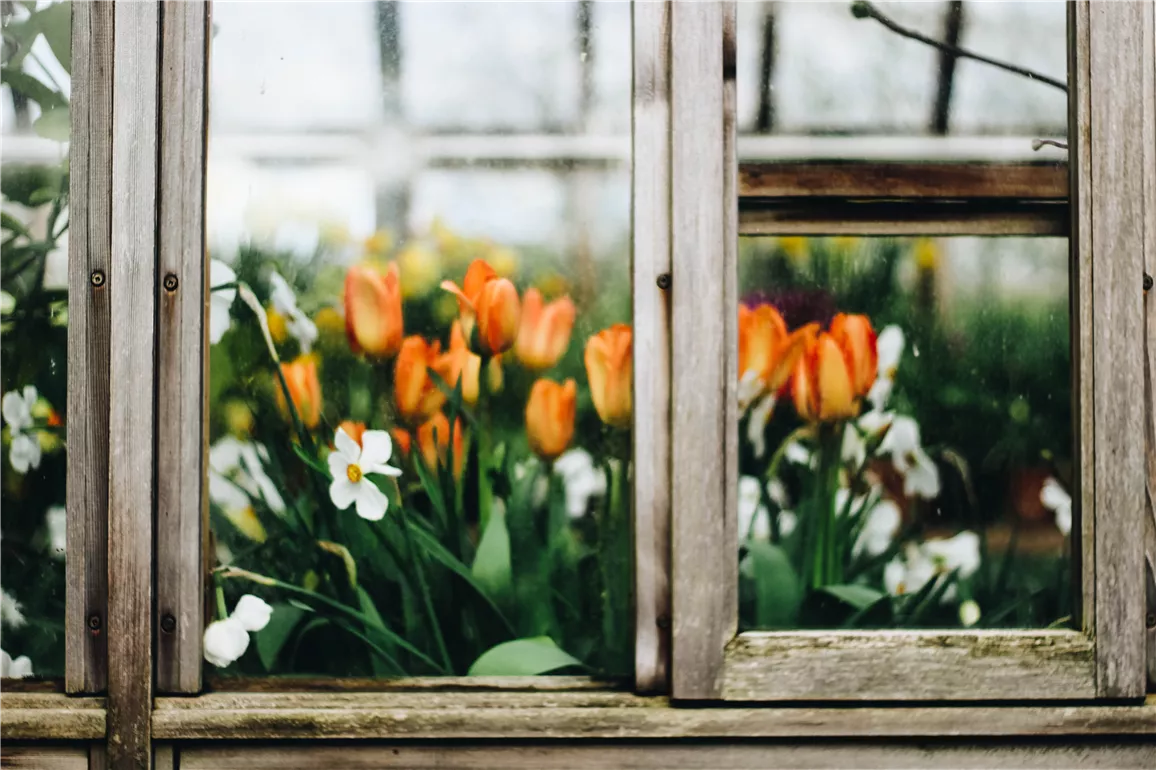 Gartenmagazin